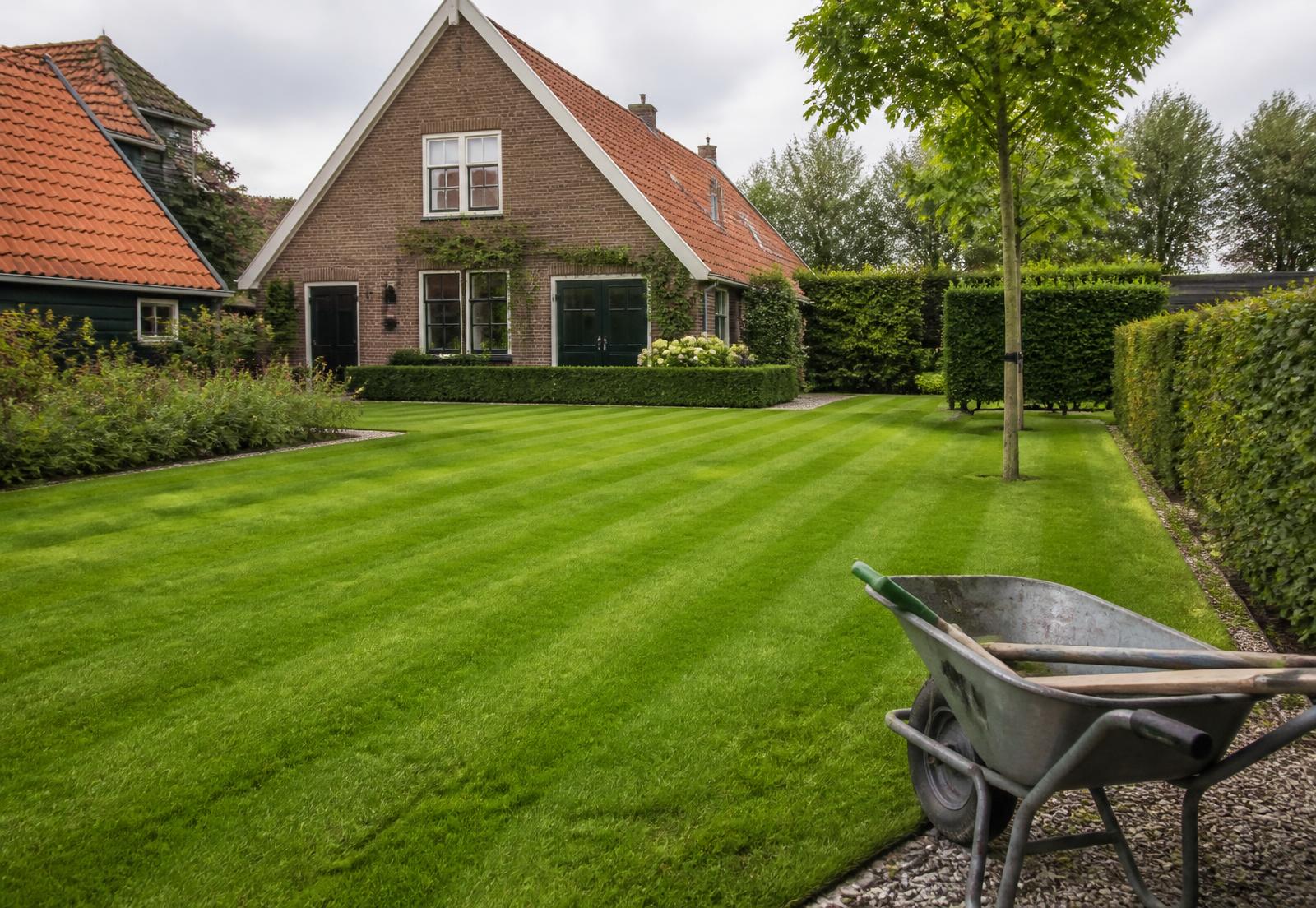 Onderhouden tuin met gestreept gazon en geknipte hagen